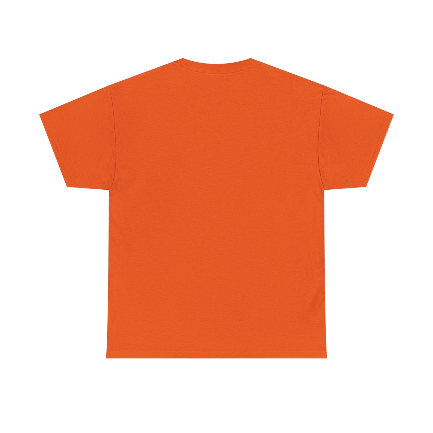 This Is Fine Graphic Tee — Funny Chaos Meme Internet Culture | Root to Peak